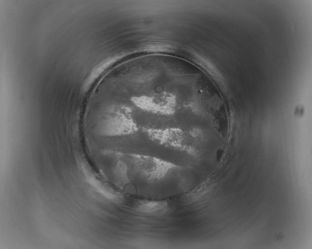 X0000112970155200909031054