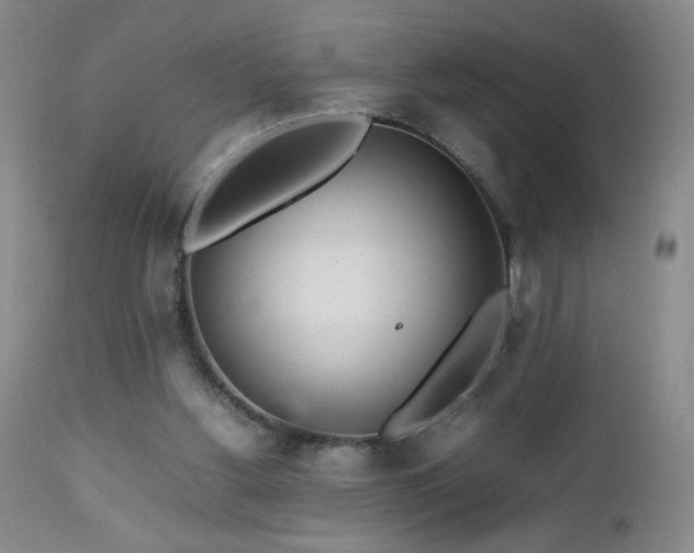 X0000112970156200909031054