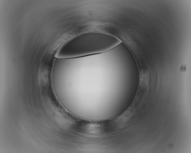 X0000112970158200909031054