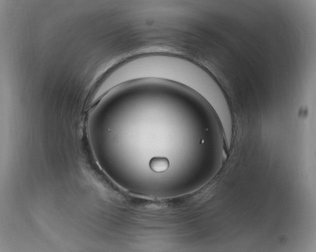 X0000112970160200909031054