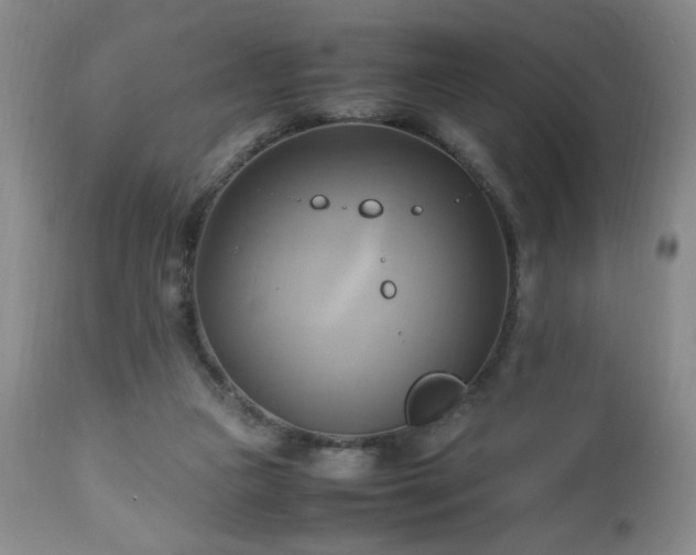 X0000112970161200909031054