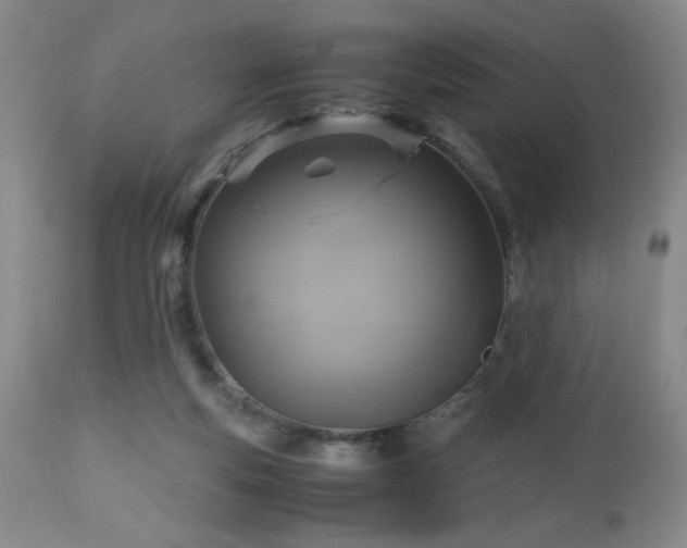 X0000112970163200909031054