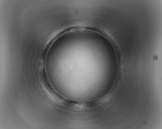 X0000112970164200909031054