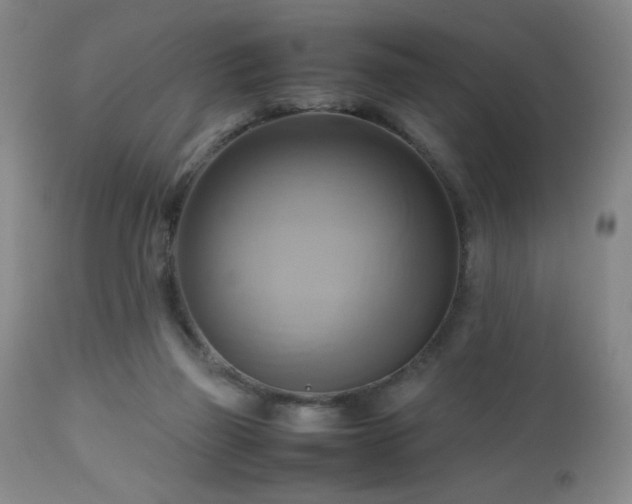 X0000112970165200909031054