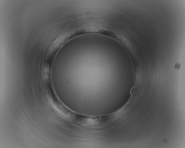 X0000112970166200909031054