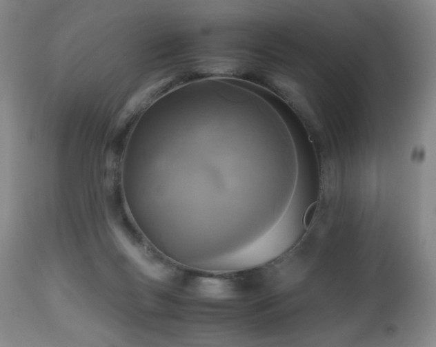 X0000112970167200909031054