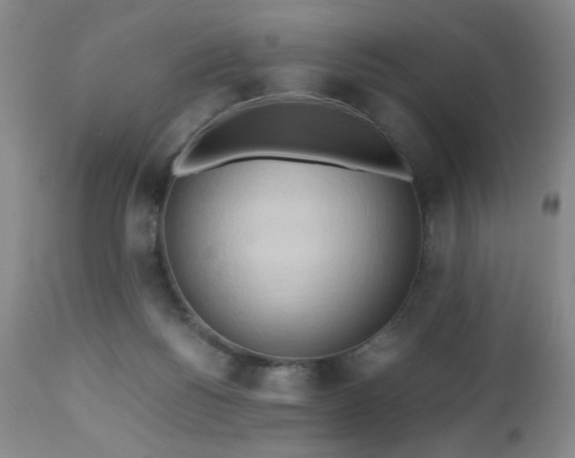 X0000112970168200909031054