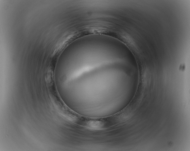 X0000112970169200909031054