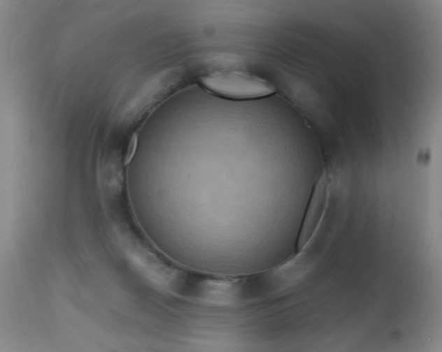 X0000112970170200909031054