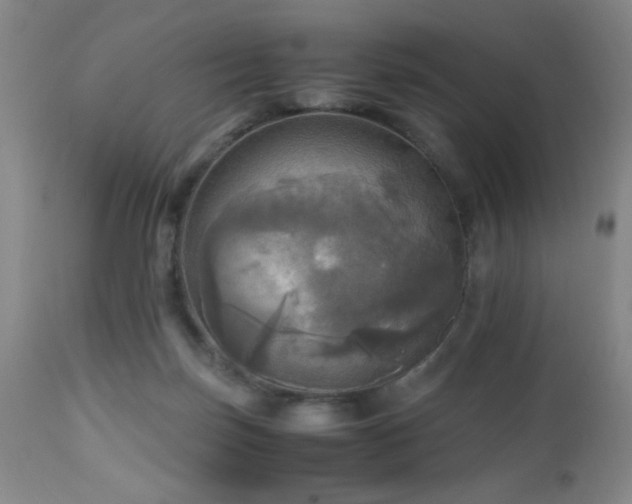 X0000112970171200909031054