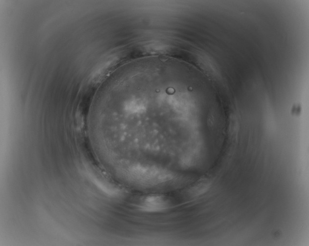 X0000112970173200909031054