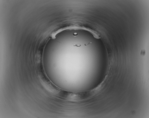 X0000112970174200909031054