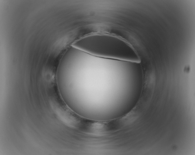 X0000112970176200909031054