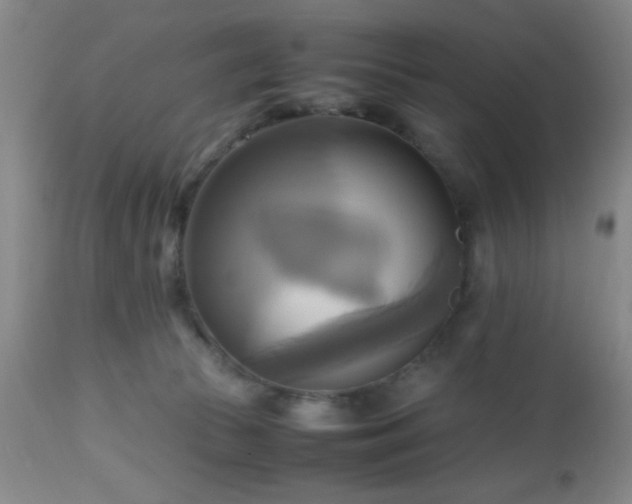 X0000112970177200909031054