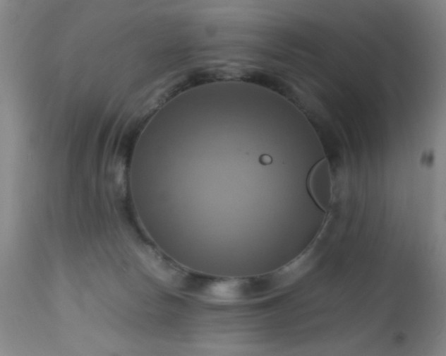 X0000112970178200909031054