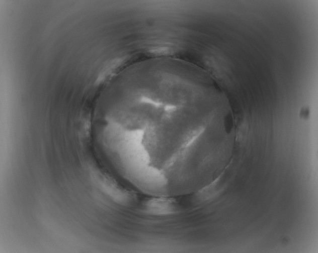 X0000112970179200909031054