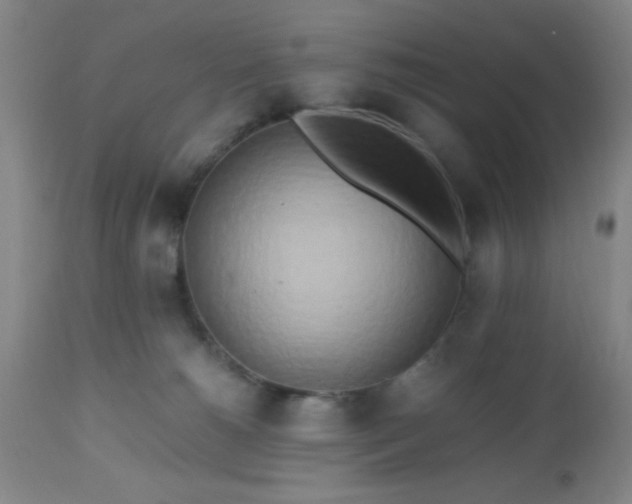 X0000112970180200909031054