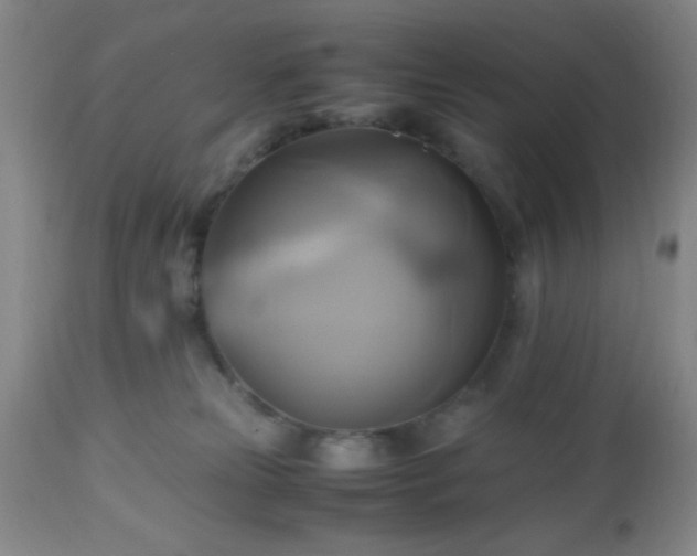 X0000112970181200909031054