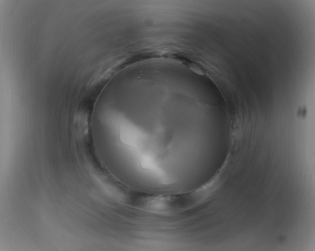 X0000112970182200909031054