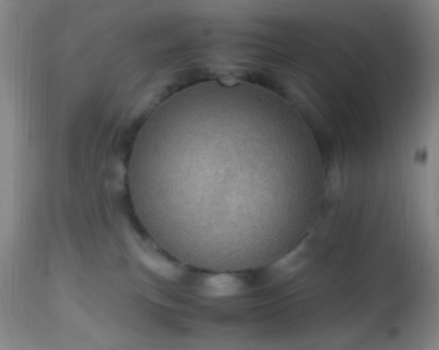 X0000112970183200909031054