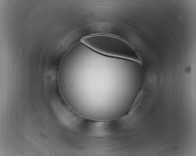 X0000112970184200909031054