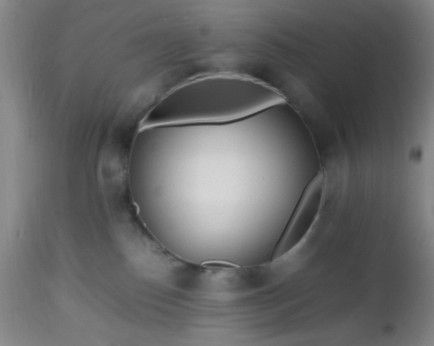 X0000112970186200909031054