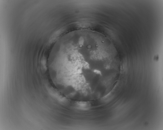 X0000112970187200909031054