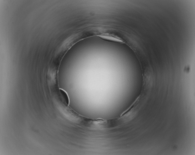 X0000112970188200909031054