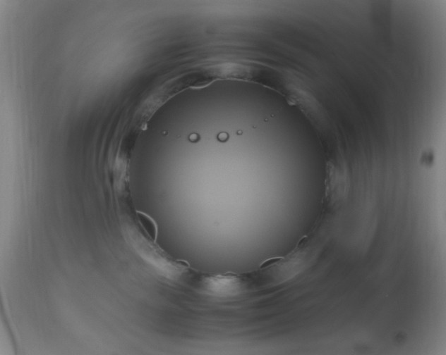 X0000112970189200909031054