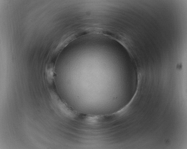 X0000112970190200909031054