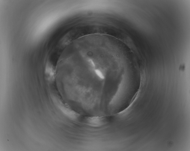 X0000112970191200909031054