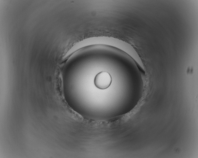 X0000112970192200909031054