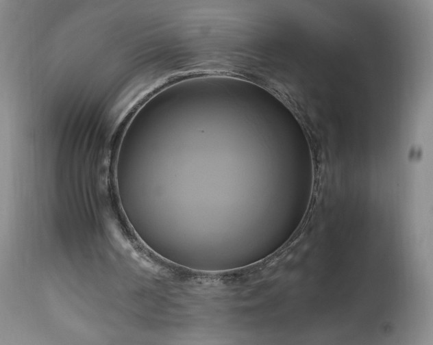 X0000112970194200909031053