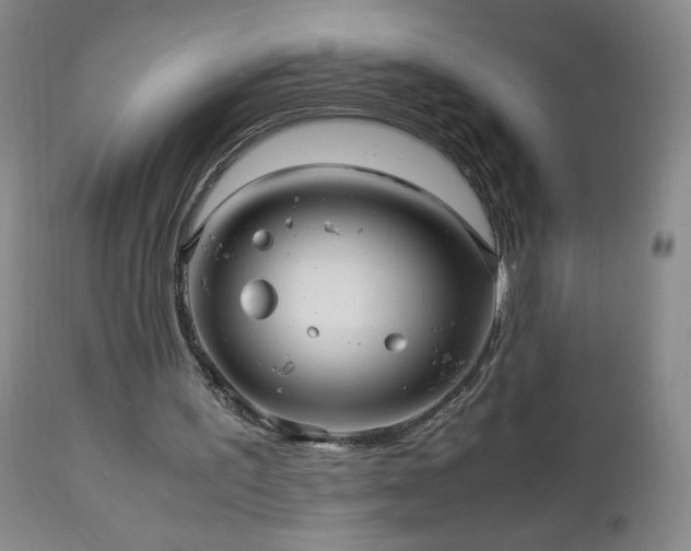 X0000112970195200909031053