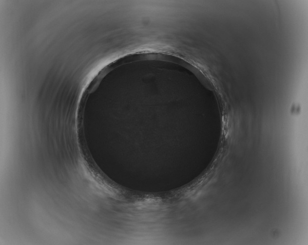 X0000112970196200909031053