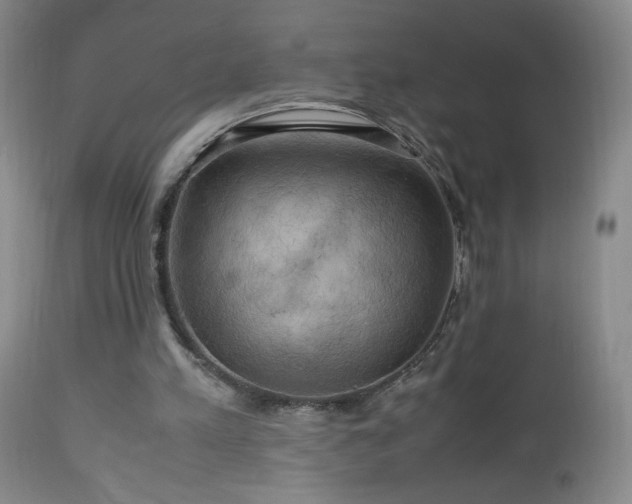 X0000112970197200909031053