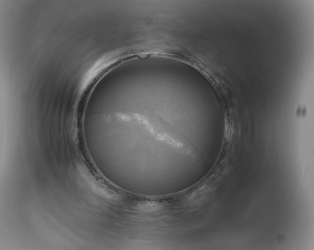 X0000112970198200909031053