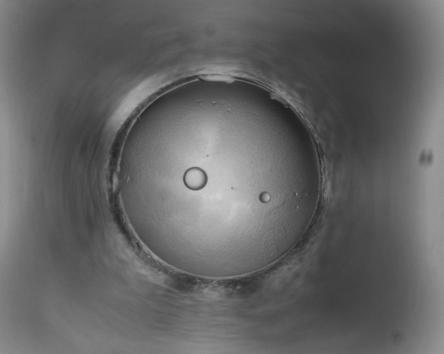 X0000112970199200909031053