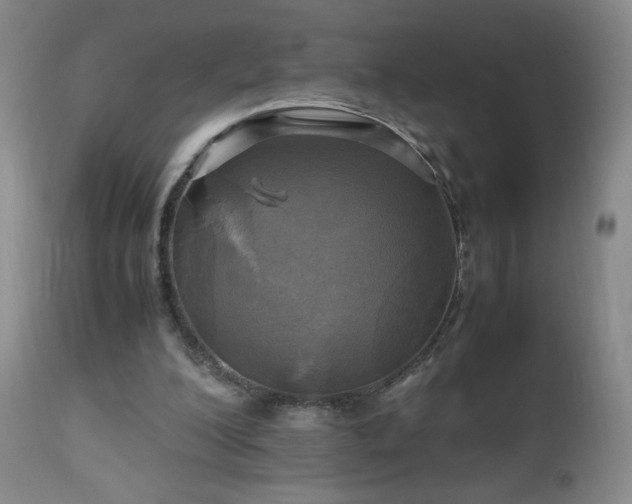 X0000112970200200909031053