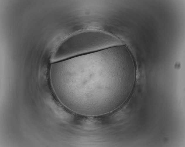 X0000112970201200909031053