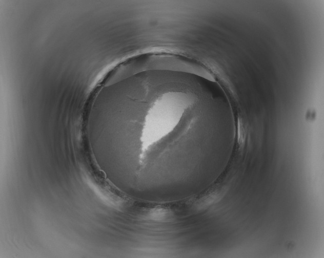 X0000112970204200909031053