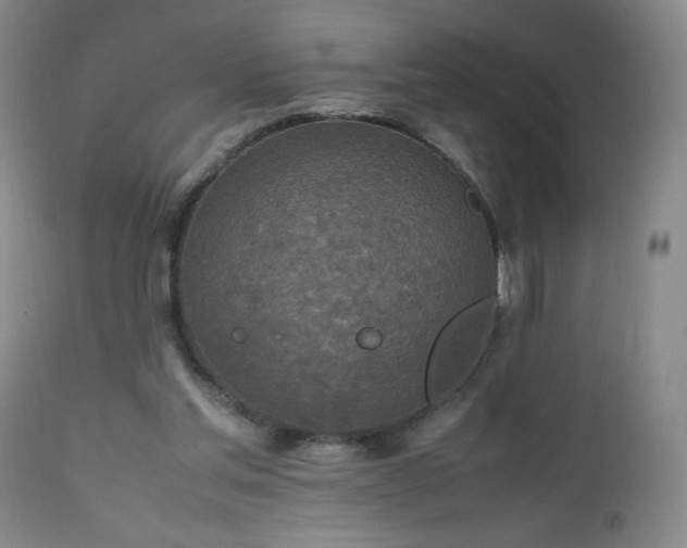 X0000112970205200909031053