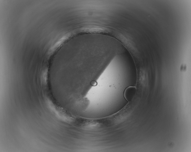 X0000112970206200909031053