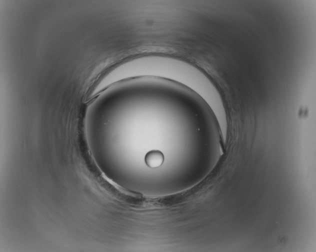 X0000112970207200909031053