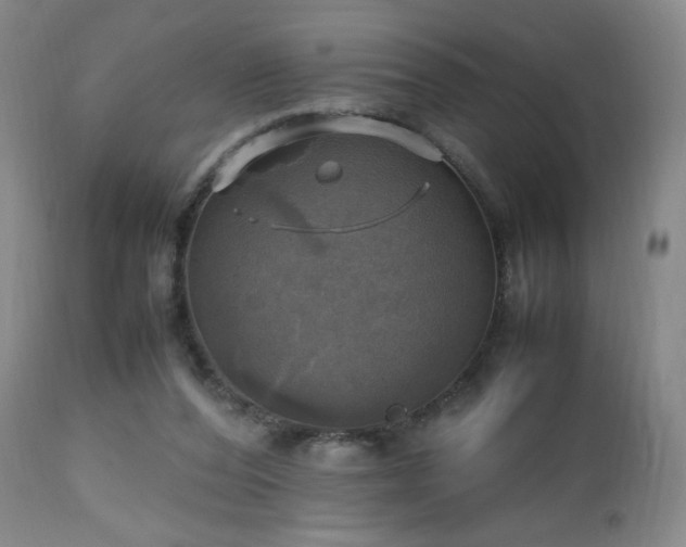 X0000112970208200909031053