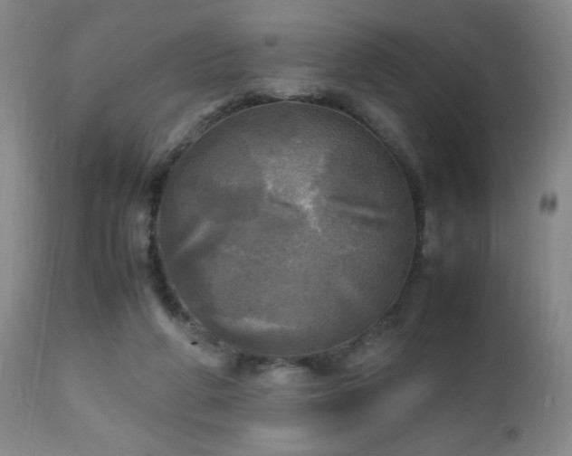 X0000112970210200909031053