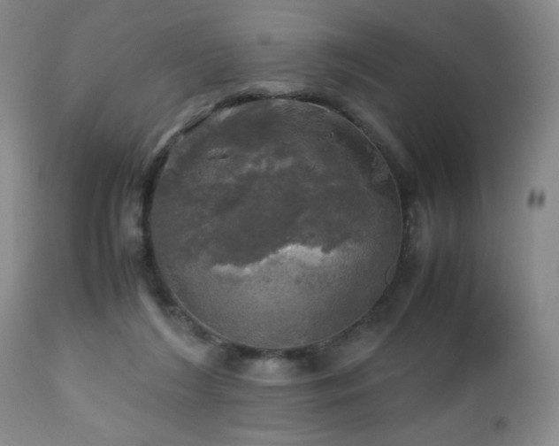 X0000112970212200909031053