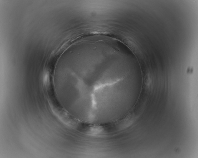 X0000112970214200909031053