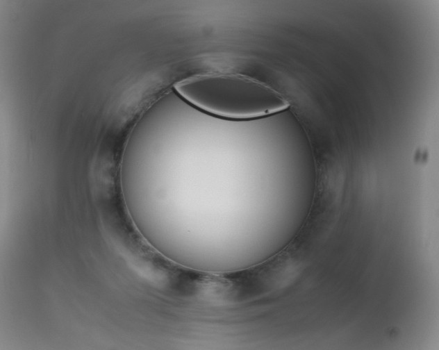 X0000112970215200909031053