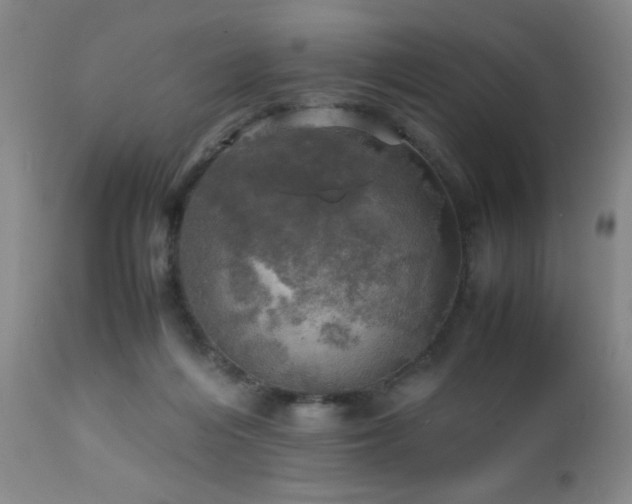 X0000112970216200909031053